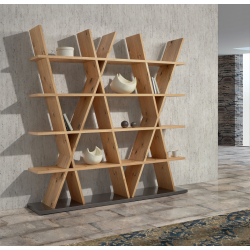 REVERSO_CLARA HOME (LBF)_Bibliothèque_AMB.jpg