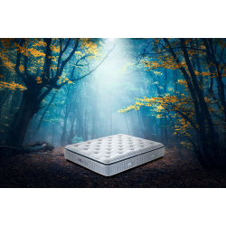 LIBELLULE_ECUS SLEEP SLU_Matelas_AMB.jpg