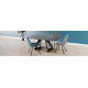 NESTOR_LIEVENS_table de repas carrée-BAN.png